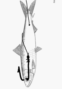 delaisxa7