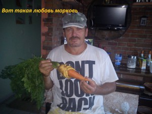 aleks morkov