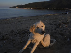 velikolepnaia blonda