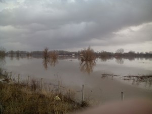 navodnenie2