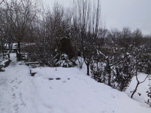 zima2