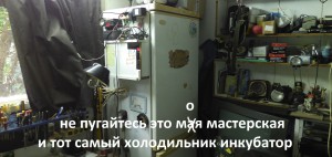 inkubator delaisxa